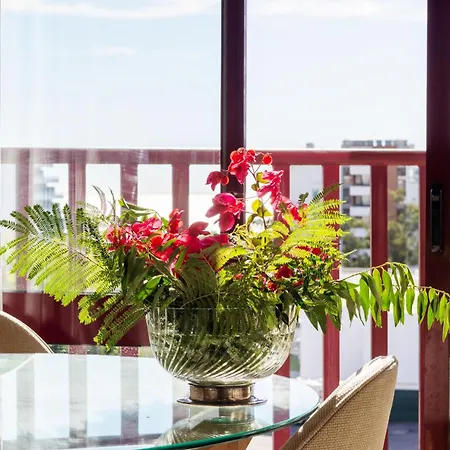 Seaview * 포티마오