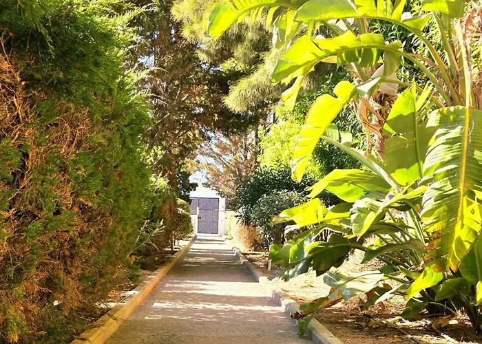 Seaview 포티마오