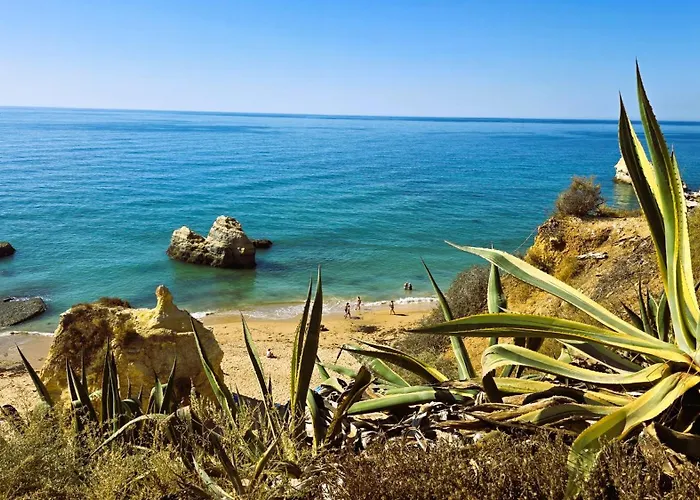 아파트 Seaview 포티마오